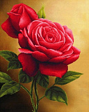 Картина по номерам Красная роза, 40*50 см