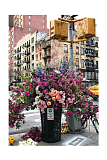 Пазл Ravensburger Цветы в Нью-Йорке, 300 дет.