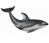 Фигурка Collecta Тихоокеанский Белобокий Дельфин, M
