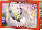 Пазл Castorland Белые лошадки, 1000 дет.