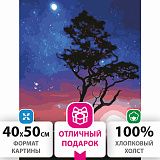 Картина по номерам Остров сокровищ Звёздная ночь, 40х50 см, на подрамнике, акриловые краски, 3 кисти