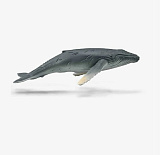 Фигурка Collecta Горбатый кит, детёныш, M