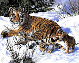 Картина по номерам Mariposa Тигриное семейство, 40*50 см