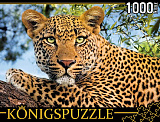 Пазл Konigspuzzle Портрет леопарда, 1000 эл.