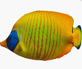 Игрушка-антистресс мягконабивная KiddieArt Tallula Рыба Ангел, желтая,  23 см