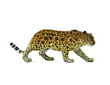 Фигурка Collecta Амурский леопард, XL
