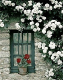Картина по номерам Mariposa Окно с цветком, 40*50 см