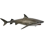 Фигурка Collecta Тигровая акула, L