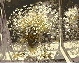 Картина по номерам Mariposa Цветы, 40х50 см
