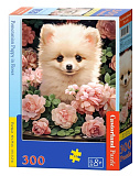 Пазл Castorland Щенок шпица в цветах, 300 эл.