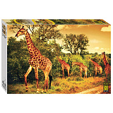 Пазл Step Puzzle Южноафриканские жирафы, 4000 дет.
