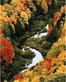 Картина по номерам Mariposa Река в лесу, 40*50 см