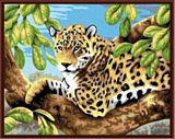 Картина по номерам Леопард, 40*50 см