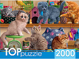 Пазл Рыжий Кот Смешные котята в зоомагазине, 2000 эл.
