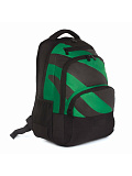 Рюкзак Grizzly универсальный, черный/зеленый, 32х45х23 см