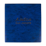 Альбом нумизматика для 380 монет и купюр Остров сокровищ,  диаметр до 38 мм, 253х238 мм, синий