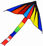 Воздушный змей Разноцветный, 120х60 см