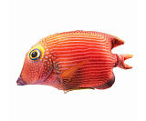 Игрушка мягконабивная KiddieArt Tallula Рыба Коле Тан, 23 см