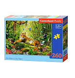Midi-пазл Castorland Его величество-тигр, 260 эл.