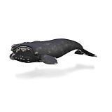Фигурка Collecta Южный кит, XL